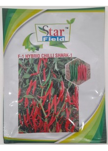 Shark-1 F-1 Hy Chilli